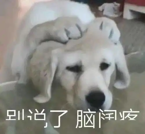 打狗狗表情包养狗