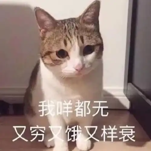  你愿意当僵尸还是吸血鬼面对考官的死亡发问,网友当场晕倒
