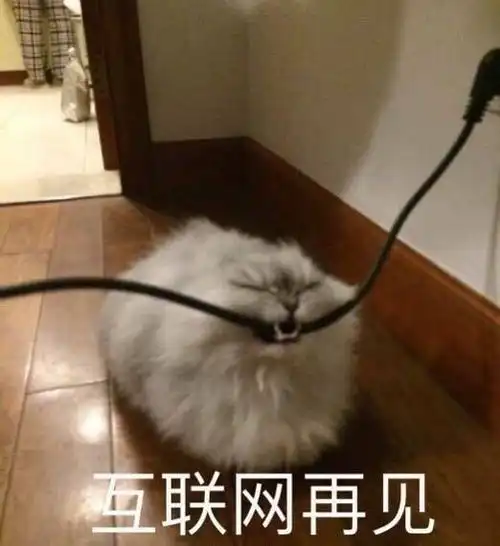 想和夏天打一架