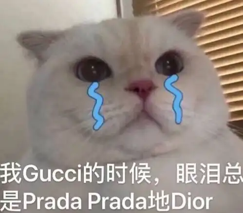 钞票图片表情包gucci