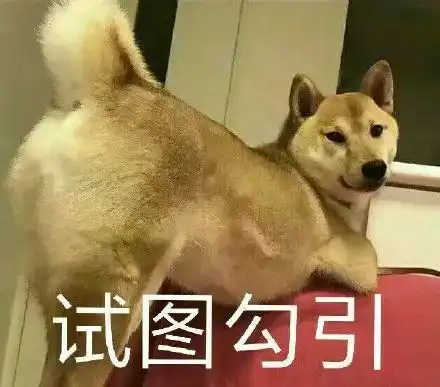  骆歆超短裙户外直播,吸引大爷对腿拍照