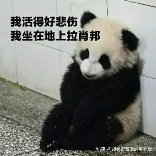  你人生中有没有拿不出手却特别好笑的事