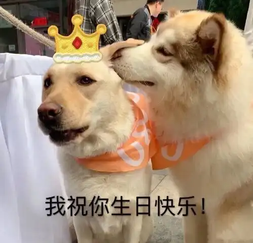  关于好朋友的生日祝福文案