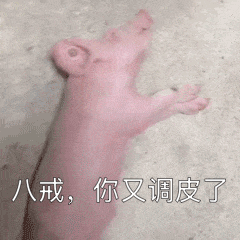  25个gif幽默调皮表情包这群就我一个正常人,好孤独啊