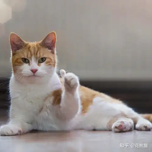  五部豆瓣高评分励志电影,让在低谷的你充满力量