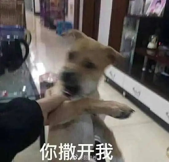 仰卧起坐亲亲表情包小女