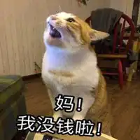  没钱表情包妈妈你看微信头像图片大全