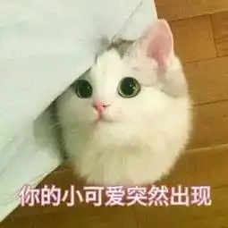 一脸懵圈的表情图片