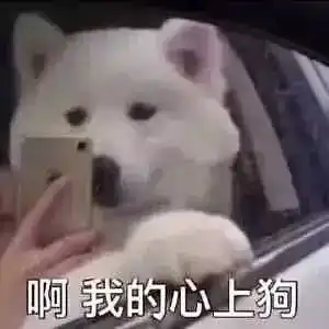  辛式渣男之蚀心者傅镜殊篇