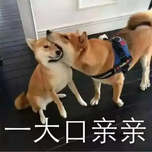  新社交指南不发表情包就不能聊天...