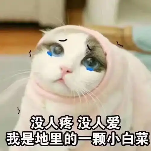  成绩已出,过儿还好吗