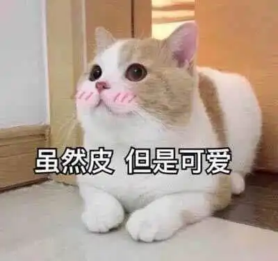  1元党的完美世界手游之旅