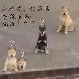 ﻿是时候了图片表情包时代