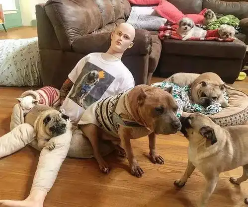  福懋动物医院每天出家门的时候,和爱犬上演生死离别简直就是家常便饭