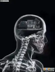  做我的狗钻戒表情包deidei讲的dei老太太表情包图片下载乐游网手机下载站