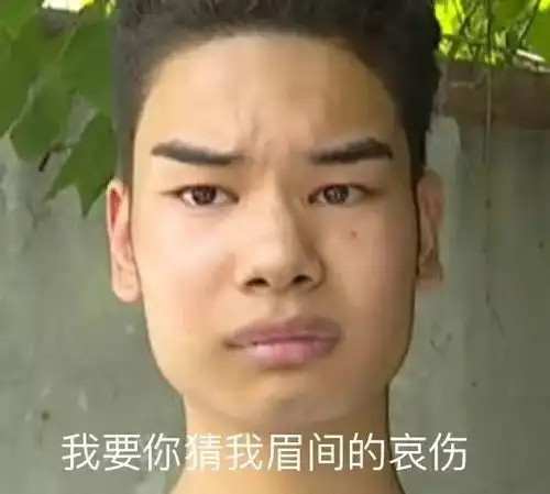  花了2500块钱做了个新发型之后,我成了全国人民的快乐源泉....