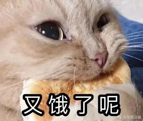 北师珠新增24小时机器人餐厅无广探店来啦