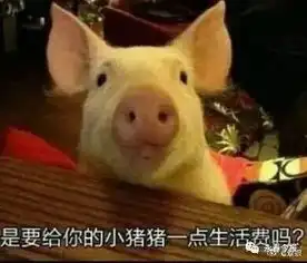  奇招妙计如何暗示爸妈生活费不够用了永春小伙伴们快来一起学两招