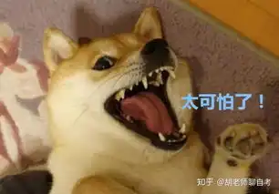 开银趴不叫我表情包教程