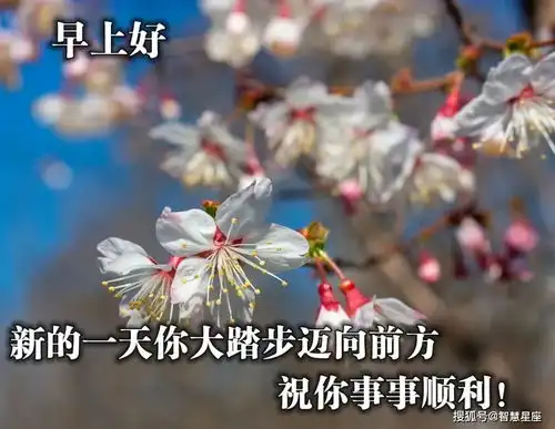  6月4日早上好问候语表情包动态图片,新的一天早上好快乐的早晨送你健康平安