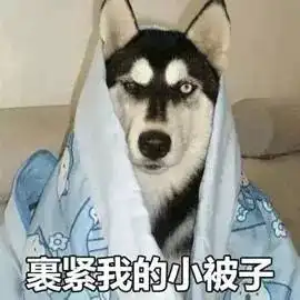  暖心神犬竟靠这种方法得知主人罹癌3次救了主人的命