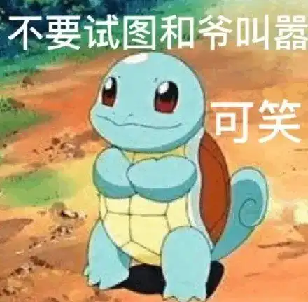 抓贼的表情包杰尼龟