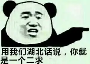  用我们东北话讲你就是一个山炮表情包下载用我们东华话讲你就是一个山炮表情包高清无水印极光下载站