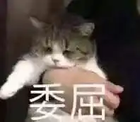  我给我妈发了一个表情包,但她当真了我该怎么解释