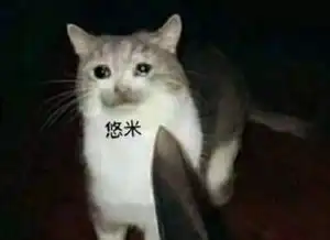  lol为何adc都不喜欢和悠米组队发现原因后感觉很真实