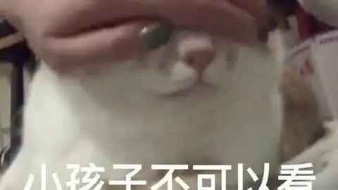  对比黄金和星耀段位是什么限制你在低段位徘徊哔哩哔哩bilibili