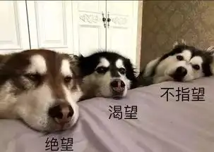  女子生完二胎,因为亲妈的所作所为,要崩溃了