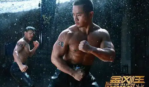  拳拳到肉从头打到尾,这6部动作片被低估了