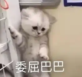  再见,夜市摊龙城路12家烧烤摊被一锅端,你也吃过