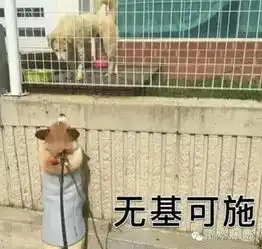 打狗狗表情包国美