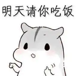 重要事情图片表情包人生