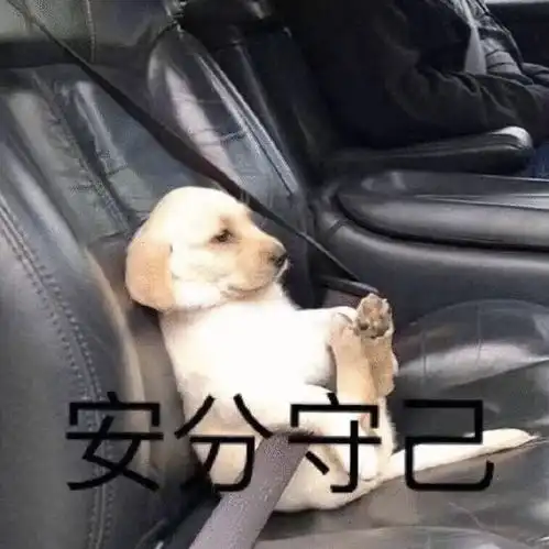 推特twitter数据采集内容,粉丝,关键字等