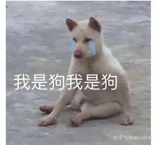  你的2020春招进展怎么样了