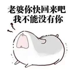  给女朋友道歉的正确方式,这组表情包请转给有需要的人