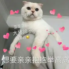  有没有什么抱抱亲亲的很暖的表情包