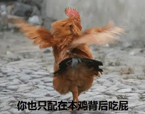  广州,一座被鸡统治的城市......