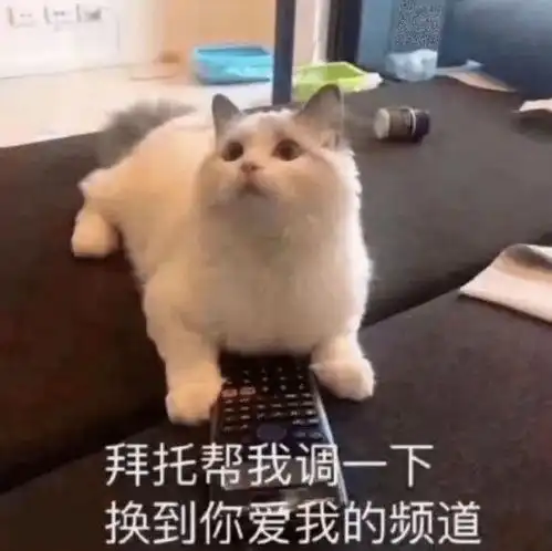  跨年晚会热搜又霸屏知名男艺人突然退出