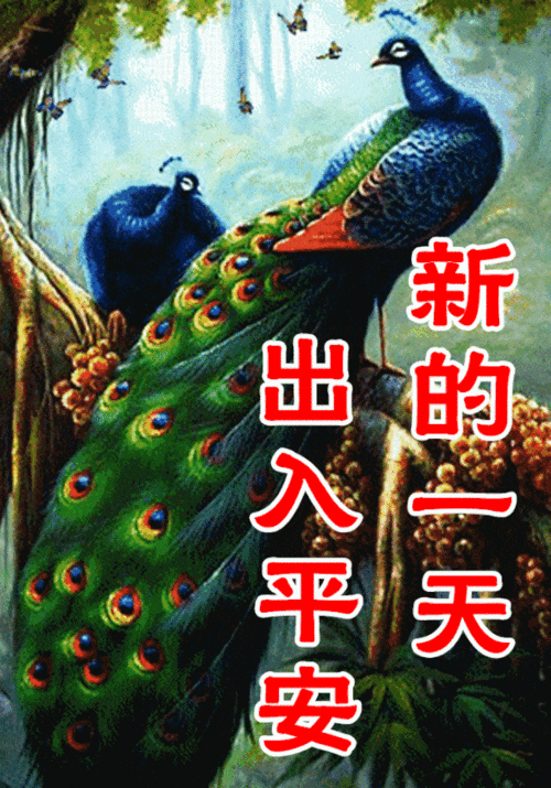  8张最新免打字创意唯美早上好问候动画表情图片好看的冬日早安问候祝福动态图片表情包