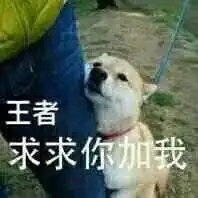  王者求带排表情包