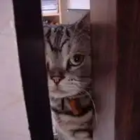  偷看洗澡表情包