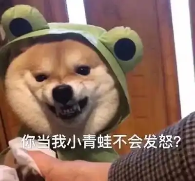  有自己的生意和漂亮老婆,算成功人士吗喝药快吗哈哈哈