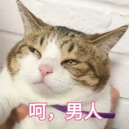  妹子求助男友把自己追到手后极其冷淡怎么办网友回答把人看呆了