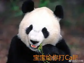  雄起川妹子朱雨玲作为头号种子出征世界杯