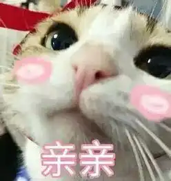 你醒啦表情包剑网三