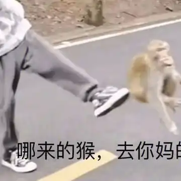 我的收藏