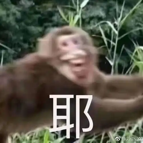  可以二周目的影视